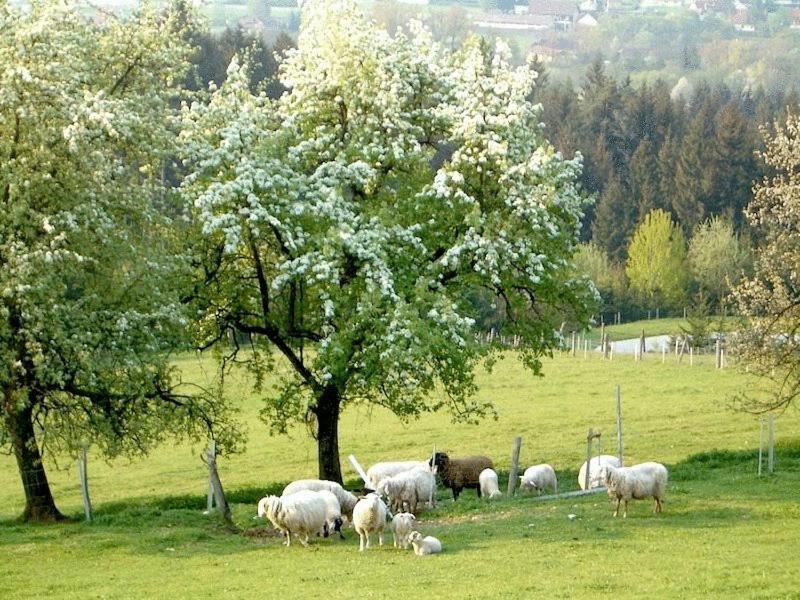 Ferienhaus Huber Διαμέρισμα Bleiburg Εξωτερικό φωτογραφία